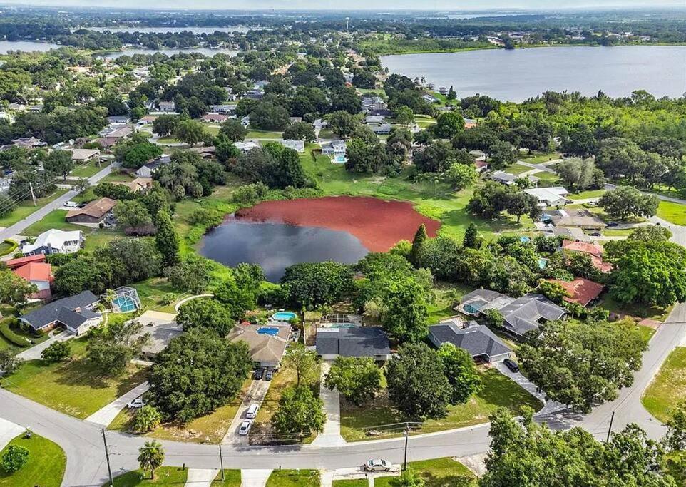Cozy Lakefront Home W/ Pool -7 Mins From Legoland Уинтер-Хейвен Экстерьер фото